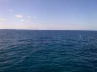 Great day of scuba diving in Key Largo with Rainbow Reef on christmastree cave tropical voyager 2014 05 06 r283 1