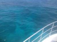 Great day of scuba diving in Key Largo with Rainbow Reef on conch pillars tropical odyssey 2014 05 31 r329 1