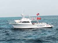 Great day of scuba diving in Key Largo with Rainbow Reef on fire coral cave tropical adventure 2014 05 03 r279 1