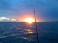 Great day of scuba diving in Key Largo with Rainbow Reef on molasses reef tropical adventure 2014 05 22 r306 1