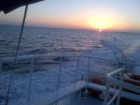 Great day of scuba diving in Key Largo with Rainbow Reef on molasses reef tropical odyssey 2014 05 25 r312 1