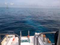 Great day of scuba diving in Key Largo with Rainbow Reef on molasses reef tropical voyager 2014 05 25 r311 1