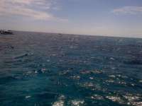 Great day of scuba diving in Key Largo with Rainbow Reef on north star tropical voyager 2014 05 02 r277 1
