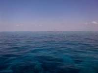 Great day of scuba diving in Key Largo with Rainbow Reef on north star tropical voyager 2014 05 24 r310 1