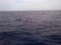 Great day of scuba diving in Key Largo with Rainbow Reef on spiegel grove tropical adventure 2014 05 04 r281 1