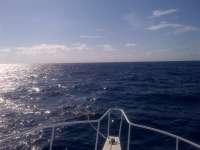 Great day of scuba diving in Key Largo with Rainbow Reef on spiegel grove tropical adventure 2014 05 28 r317 1
