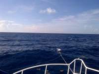 Great day of scuba diving in Key Largo with Rainbow Reef on spiegel grove tropical adventure 2014 05 29 r320 1
