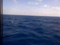 Great day of scuba diving in Key Largo with Rainbow Reef on spiegel grove tropical voyager 2014 05 18 r296 1