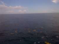 Great day of scuba diving in Key Largo with Rainbow Reef on spiegel grove tropical voyager 2014 05 29 r322 1