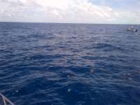 Great day of scuba diving in Key Largo with Rainbow Reef on spiegel grove tropical voyager 2014 05 31 r328 1