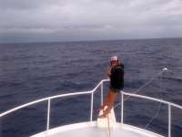 Great day of scuba diving in Key Largo with Rainbow Reef on uscgc duane tropical adventure 2014 05 16 r295 1