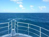 Great day of scuba diving in Key Largo with Rainbow Reef on benwood wreck tropical odyssey 2014 11 29 r1003 1
