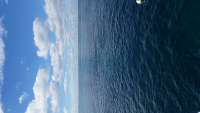 Great day of scuba diving in Key Largo with Rainbow Reef on christ statue tropical adventure 2014 11 10 r954 1