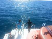 Great day of scuba diving in Key Largo with Rainbow Reef on christmastree cave tropical adventure 2014 11 11 r957 1
