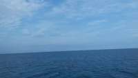 Great day of scuba diving in Key Largo with Rainbow Reef on city of washington tropical odyssey 2014 11 18 r986 1