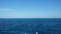 Great day of scuba diving in Key Largo with Rainbow Reef on eagle ray alley tropical adventure 2014 11 07 r944 1