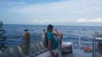 Great day of scuba diving in Key Largo with Rainbow Reef on french reef tropical odyssey 2014 11 18 r984 1