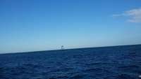 Great day of scuba diving in Key Largo with Rainbow Reef on hole in the wall tropical adventure 2014 11 29 r1001 1