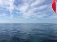 Great day of scuba diving in Key Largo with Rainbow Reef on hole in the wall tropical odyssey 2014 11 08 r949 3
