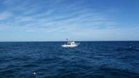 Great day of scuba diving in Key Largo with Rainbow Reef on molasses reef tropical adventure 2014 11 16 r978 1