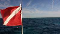 Great day of scuba diving in Key Largo with Rainbow Reef on molasses reef tropical adventure 2014 11 16 r980 1