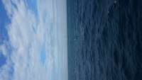 Great day of scuba diving in Key Largo with Rainbow Reef on molasses reef tropical adventure 2014 11 20 r989 1