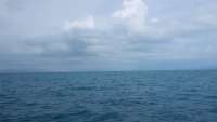 Great day of scuba diving in Key Largo with Rainbow Reef on molasses reef tropical odyssey 2014 11 26 r996 1