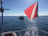 Great day of scuba diving in Key Largo with Rainbow Reef on north star tropical adventure 2014 11 01 r937 3
