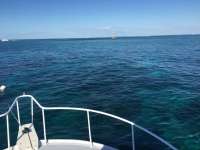 Great day of scuba diving in Key Largo with Rainbow Reef on north star tropical adventure 2014 11 01 r937 4
