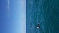 Great day of scuba diving in Key Largo with Rainbow Reef on sand island tropical voyager 2014 11 06 r942 1