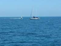 Great day of scuba diving in Key Largo with Rainbow Reef on snapper ledge tropical odyssey 2014 11 07 r947 1