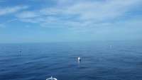 Great day of scuba diving in Key Largo with Rainbow Reef on spiegel grove tropical adventure 2014 11 08 r948 1