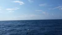 Great day of scuba diving in Key Largo with Rainbow Reef on spiegel grove tropical adventure 2014 11 09 r952 1