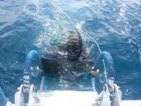 Great day of scuba diving in Key Largo with Rainbow Reef on spiegel grove tropical adventure 2014 11 18 r985 1