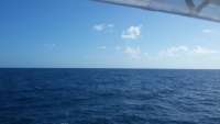Great day of scuba diving in Key Largo with Rainbow Reef on spiegel grove tropical odyssey 2014 11 06 r941 1