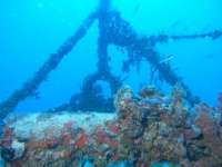 Great day of scuba diving in Key Largo with Rainbow Reef on spiegel grove tropical odyssey 2014 11 15 r973 1