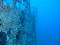 Great day of scuba diving in Key Largo with Rainbow Reef on spiegel grove tropical odyssey 2014 11 15 r973 3