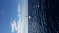 Great day of scuba diving in Key Largo with Rainbow Reef on spiegel grove tropical voyager 2014 11 14 r969 1