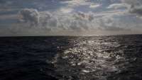 Great day of scuba diving in Key Largo with Rainbow Reef on uscgc duane tropical adventure 2014 11 17 r981 1