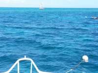 Great day of scuba diving in Key Largo with Rainbow Reef on winch hole tropical adventure 2014 11 13 r967 1