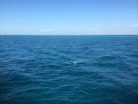 Great day of scuba diving in Key Largo with Rainbow Reef on benwood wreck tropical odyssey 2014 10 26 r920 1