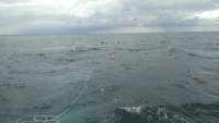 Great day of scuba diving in Key Largo with Rainbow Reef on christ statue tropical adventure 2014 10 20 r905 1