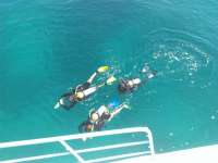 Great day of scuba diving in Key Largo with Rainbow Reef on christ statue tropical odyssey 2014 10 30 r933 1