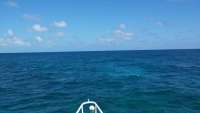 Great day of scuba diving in Key Largo with Rainbow Reef on conch pillars tropical adventure 2014 10 11 r871 1