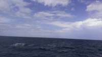 Great day of scuba diving in Key Largo with Rainbow Reef on crf nursery tropical adventure 2014 10 07 r855 1