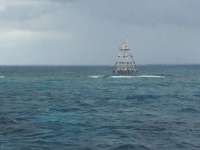 Great day of scuba diving in Key Largo with Rainbow Reef on eagle ray alley tropical odyssey 2014 10 20 r904 1