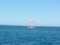 Great day of scuba diving in Key Largo with Rainbow Reef on eagle ray alley tropical odyssey 2014 10 27 r921 1