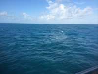 Great day of scuba diving in Key Largo with Rainbow Reef on french reef tropical odyssey 2014 10 14 r879 2