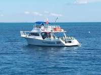 Great day of scuba diving in Key Largo with Rainbow Reef on french reef tropical odyssey 2014 10 19 r900 1