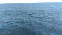 Great day of scuba diving in Key Largo with Rainbow Reef on hole in the wall tropical adventure 2014 10 15 r885 1